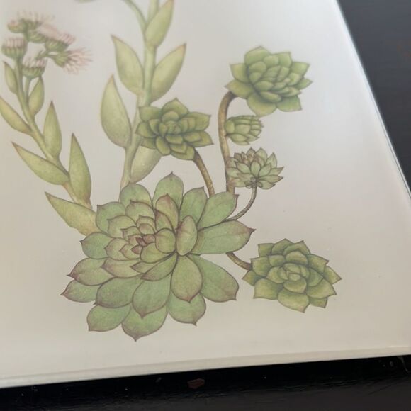 Pottery Barn Glass Succulent Decoupage Tray - Picture 2 of 9
